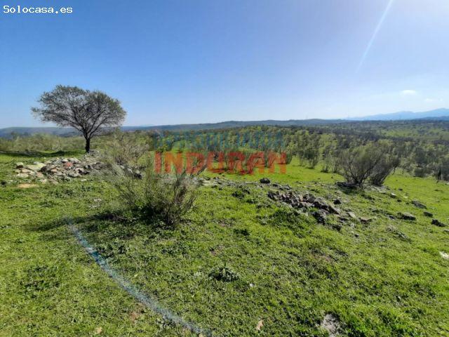 Finca ganadera en los riberos del rio Tajo