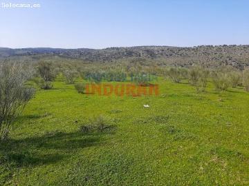 Finca ganadera junto al rio Tajo
