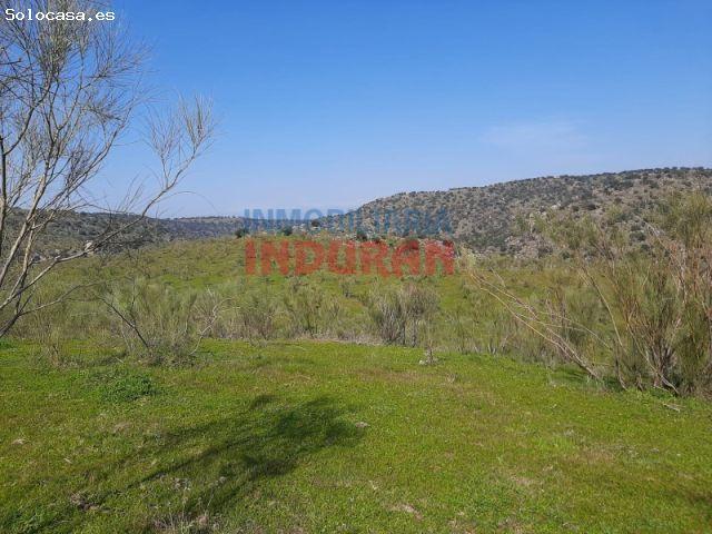 Finca ganadera junto al rio Tajo