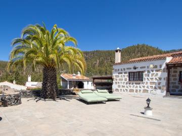 Finca grande con casa en Cruz de Tea