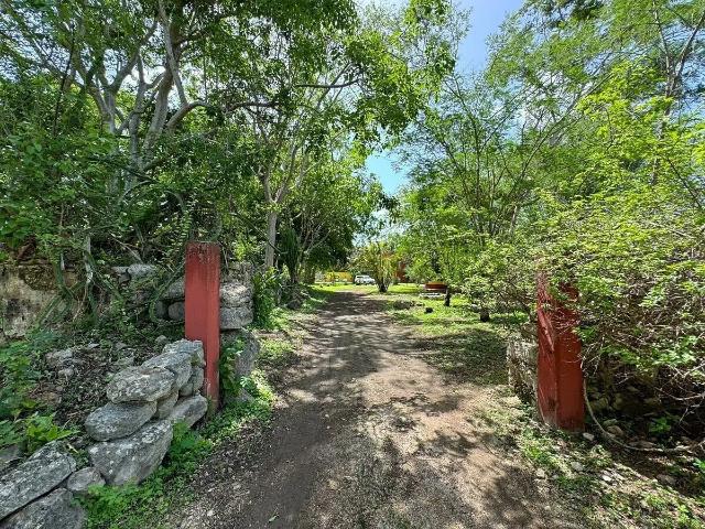 Finca Henequenera del Siglo XIX – Remodelada