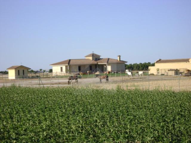 Finca hipica cerca de madrid