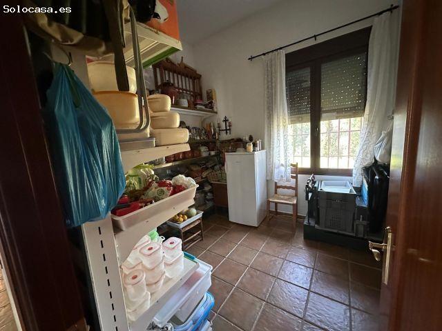 FINCA LOS MORALES, CAMINO DE LOS CHINATOS, VILLAVICIOSA DE CORDOBA