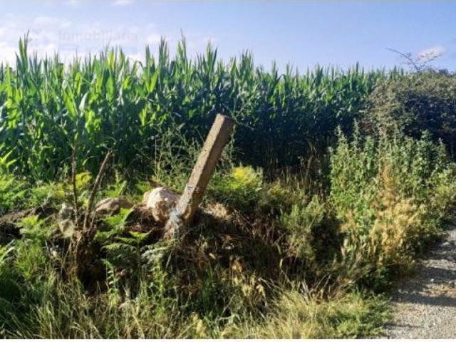 Finca para venta en Moalde Silleda