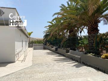finca platanera en venta de platanos ecológicos Guaza Arona
