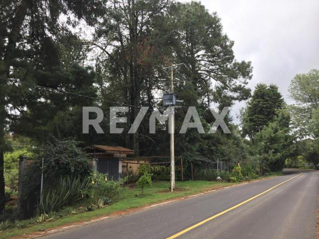 FINCA PRODUCTIVA Y CASA DE DESCANSO EN VENTA