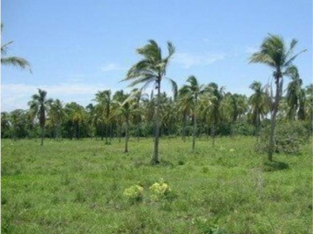 Finca Rancho en venta en Coquimatlan, Coquimatlán, Colima