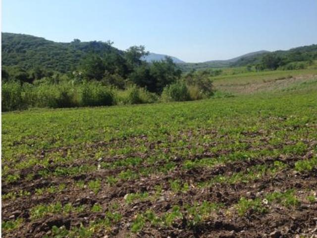 Finca Rancho en venta en Ampliación El Mirador Ampliación Bomba, Tlaltizapán de Zapata, Morelos