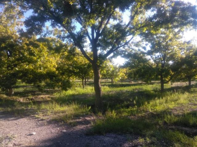 Finca Rancho en venta en Agua de los Padres, Parras, Coahuila de Zaragoza