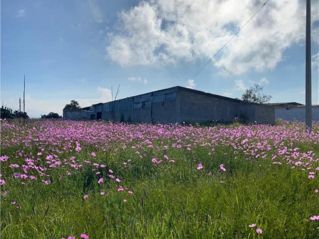 Finca Rancho en venta en El Charcón, Nopala de Villagrán, Hidalgo