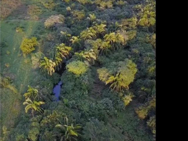 Finca Rancho en venta en El Zacatal, Jamapa, Veracruz de Ignacio de la Llave