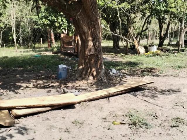 Finca Rancho en venta en Joachin, Tierra Blanca, Veracruz de Ignacio de la Llave