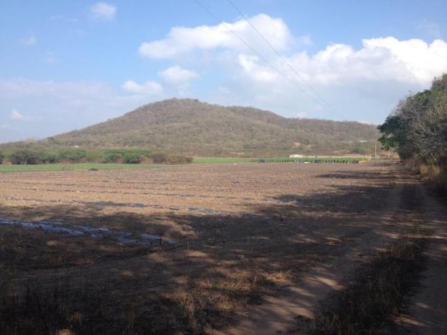 Finca Rancho en venta en La Primavera, Cintalapa de Figueroa, Chiapas