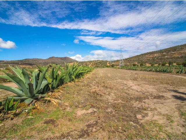 Finca Rancho en venta en Las Cruces, Singuilucan, Hidalgo