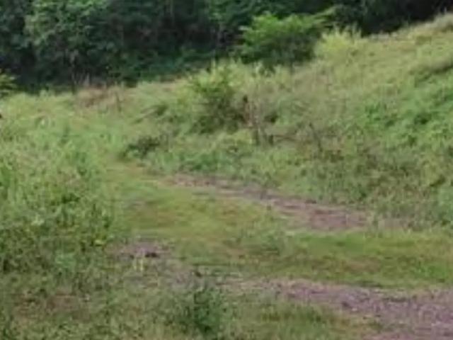 Finca Rancho en venta en Las Golondrinas, Colima, Colima