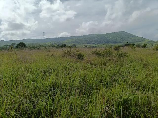 Finca Rancho en venta en San Isidro, Ocozocoautla de Espinosa, Chiapas