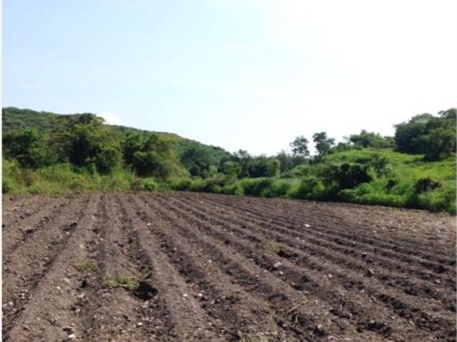 Finca Rancho en venta en Santa Rosa Treinta, Tlaltizapán de Zapata, Morelos