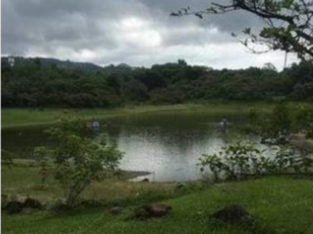 Finca Rancho en venta en Suchitlan, Comala, Colima