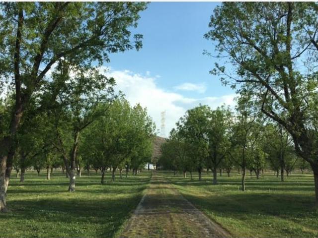 Finca Rancho en venta en Ramos Arizpe Centro, Ramos Arizpe, Coahuila de Zaragoza