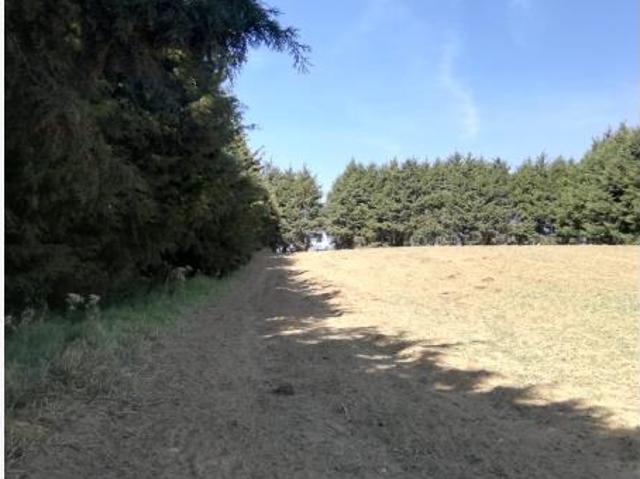 Finca Rancho en venta en Xalatlaco, Xalatlaco, México