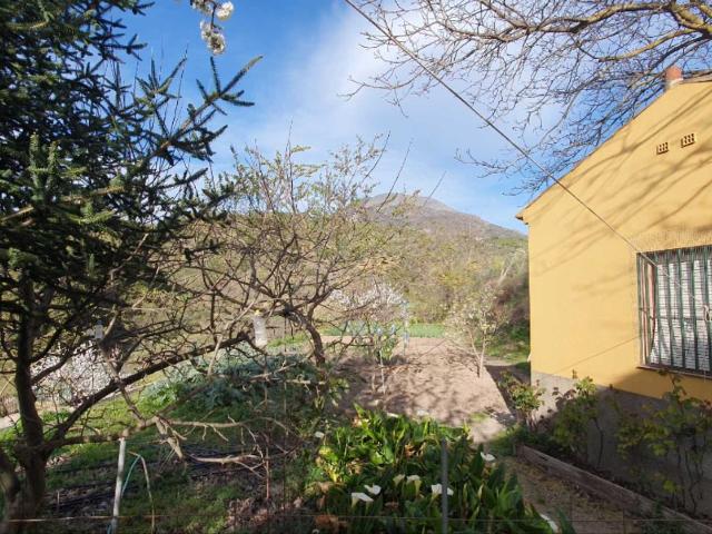 Finca regadío con casa