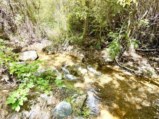 Finca Rural con Apartamentos vacacionales en el Río de Golco