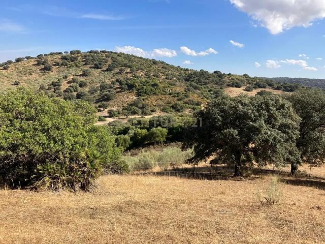 Finca rústica autosuficiente en venta – 8,5 hectáreas en plena naturaleza