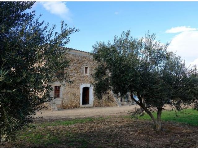 Finca rustica a Reformar