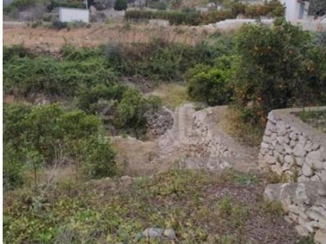 Finca Rústica Alzira