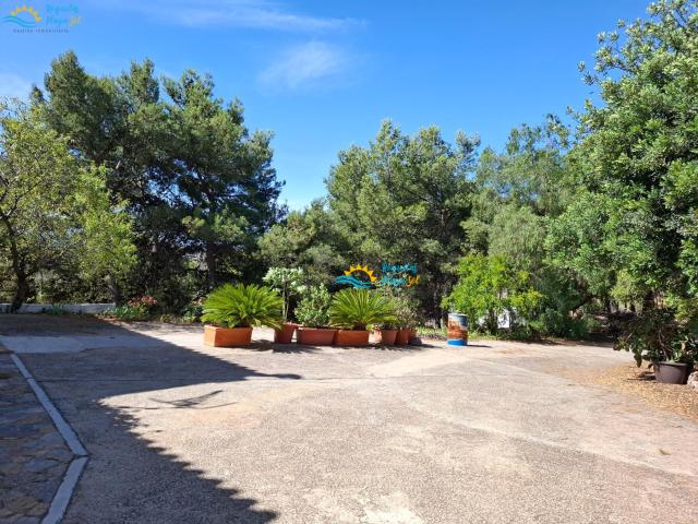 Finca con vivienda, naturaleza y vistas a la sierra y al mar