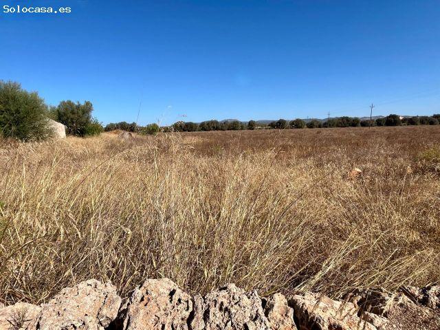 Finca rústica con terreno para renovar en Campos