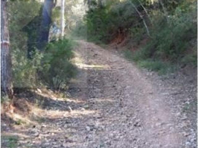 FINCA RUSTICA CON VIVIENDA