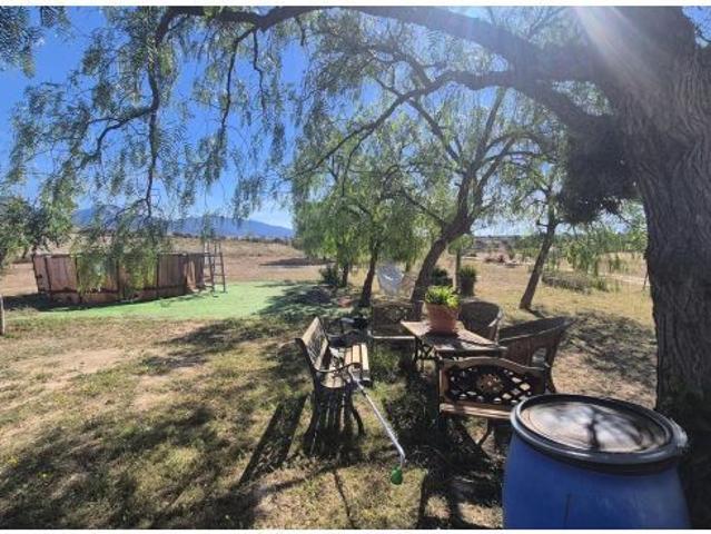 Finca rústica con vivienda y olivar en Cuesta Blanca Aledo – 17.598 m2 de terreno