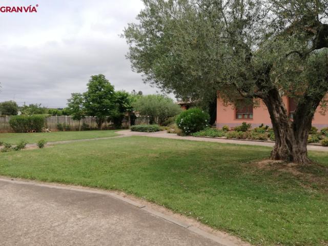 Finca rustica con vivienda y frutales en Albelda de Iregua
