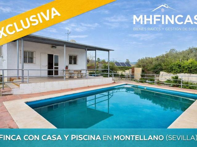 Finca rústica con vivienda y piscina en Montellano | Parcela con agua de pozo y energía solar EL CORONIL SEVILLA ¡ posibilidad de permuta!