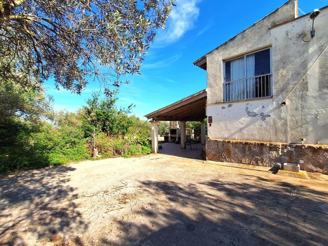 Finca rústica con vivienda carretera Cala Millor Sa Coma