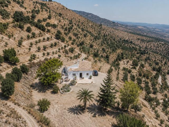 Finca rústica de 73.000 m² con casa reformada, producción agrícola y vistas al mar en Casabermeja