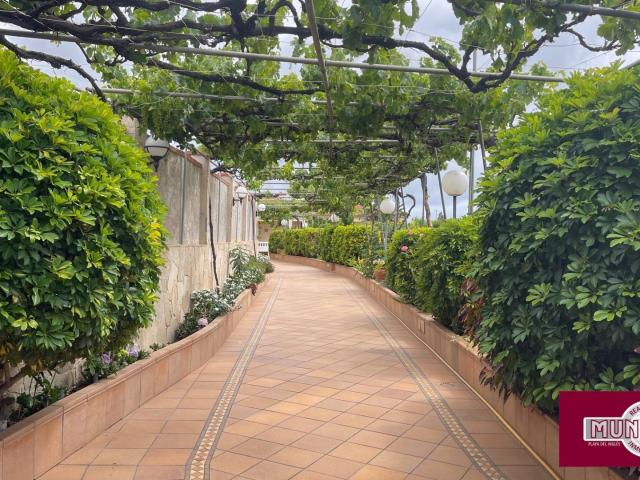 FINCA RÚSTICA CON CASA EN ALQUILER EN VALSEQUILLO | ENTORNO NATURAL, ÁRBOLES FRUTALES Y ENCANTO CANARIO