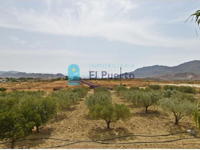 FINCA RÚSTICA CON CASA REFORMADA Y OLIVAR EN PRODUCCIÓN EN LEIVA – REF. 2053