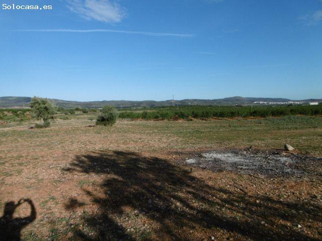 FINCA RUSTICA CON CASETA