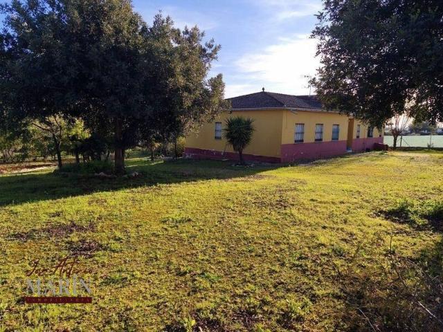 FINCA RÚSTICA CON CHALET Y MÁS NATURALEZA, AMPLITUD Y CALIDAD DE VIDA