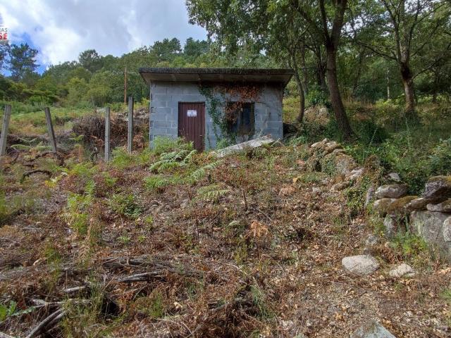 FINCA RUSTICA CON GALPON EN LA ZONA DE CASTRO DE BEIRO AMOEIRO