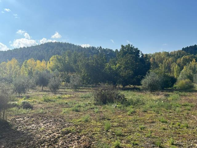 Finca rústica con maset en Torre del Compte