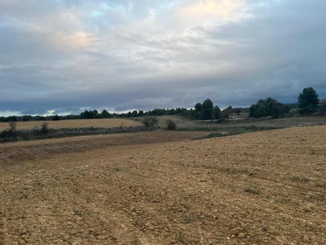 Finca rústica con maset en Valderrobres