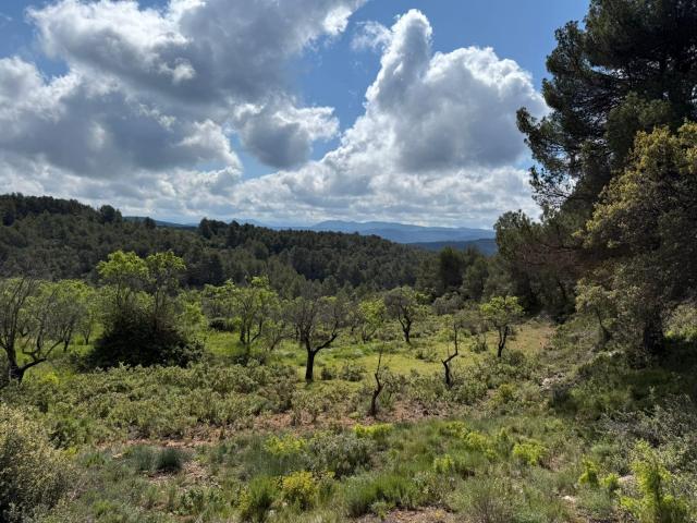 Finca rústica con maset en Ráfales