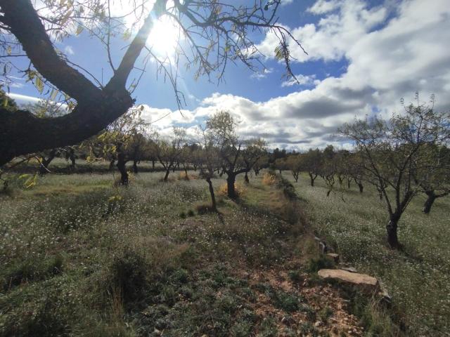Finca rústica con maset en Ráfales