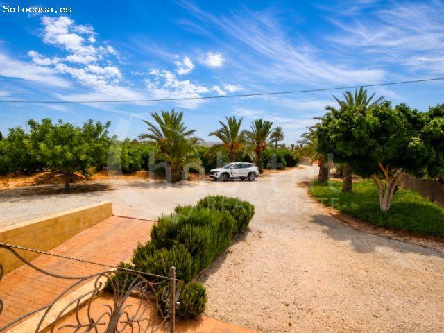 Finca rústica con piscina privada en alquiler en Los Montesinos, Alicante