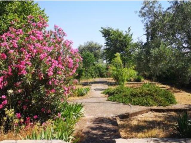 Finca rústica con piscina