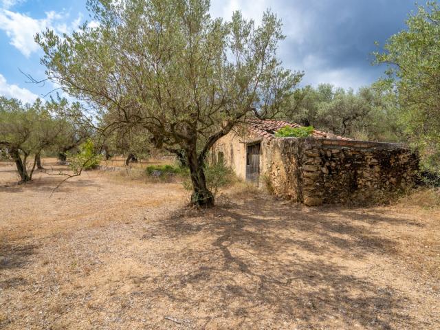 Finca rústica de olivos de 19.000 m2 con terrazas a diferent. 45m² Mas de Barberáns