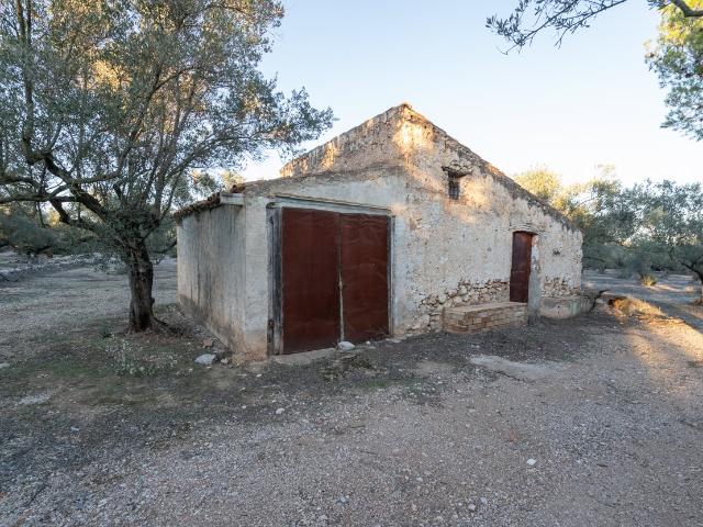 Finca rústica de olivos ecológica con 3 edificaciones. 1 37. 67m² Mas de Barberáns